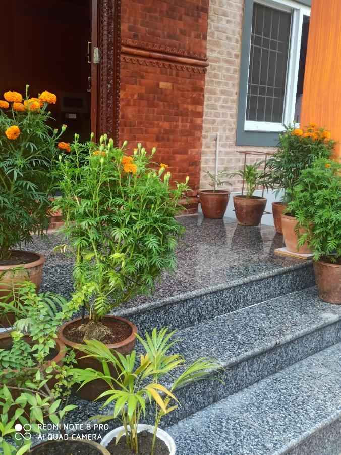 Hotel Namo Buddha Sauraha Zewnętrze zdjęcie