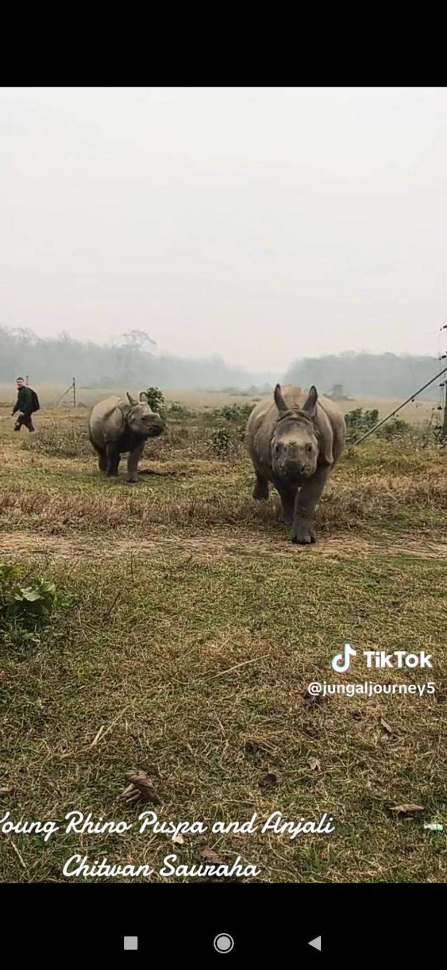 Hotel Namo Buddha Sauraha Zewnętrze zdjęcie